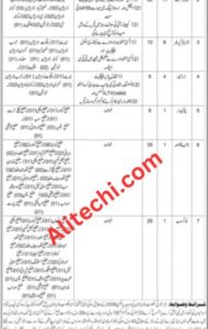 Jobs Position 2024 For Director General Treasuries & Accounts 